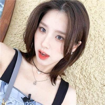 忠犬帕尔玛国语